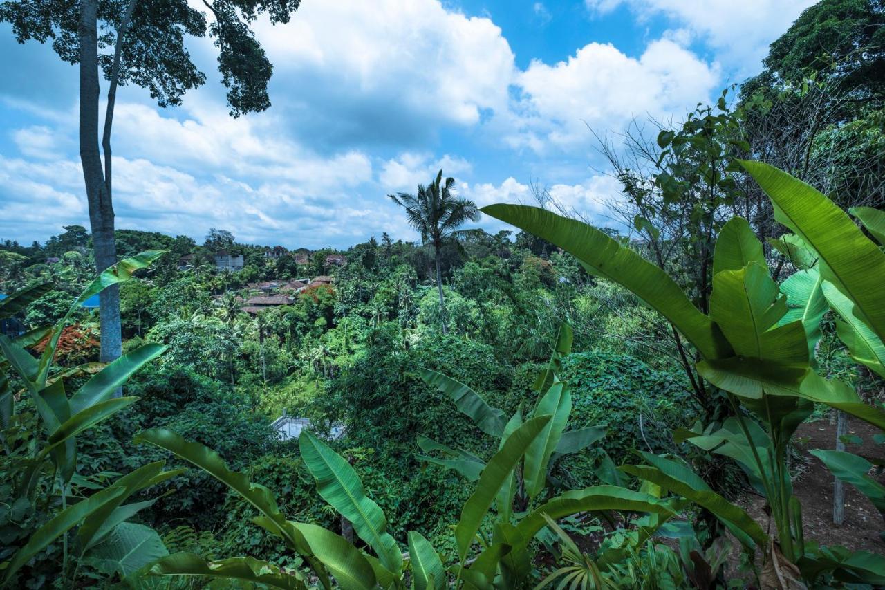 Murni'S Houses & Spa Ubud  Luaran gambar